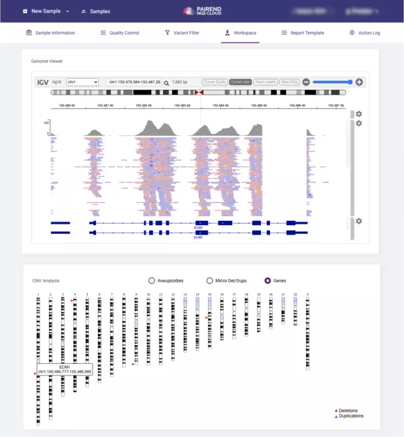 CNV Analysis